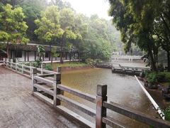 -深圳国际园林花卉博览园