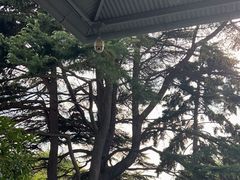 -青岛德国总督楼旧址博物馆
