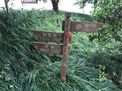 -梦姑塘文化公园