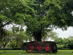 -万绿园