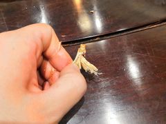 -梁子湖东篱老屋生态庄园