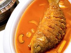 -阿五黄河大鲤鱼(纬三路店)