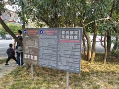 -上海佘山国家森林公园东门地面停车场