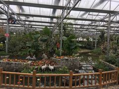 -嬉乐湾休闲旅游区