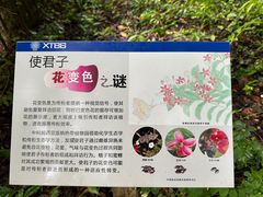 -中国科学院西双版纳热带植物园
