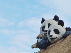 -香港海洋公园