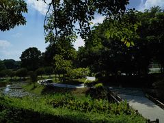 -东莞植物园