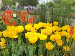 -深圳仙湖植物园