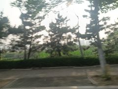 -日照海滨国家森林公园