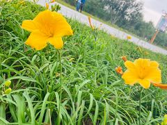 -野鸭湖国家湿地公园