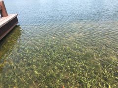 -良渚古城遗址公园