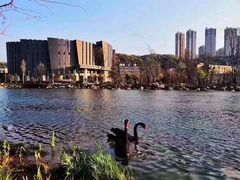 -云南艺术学院(呈贡校区)