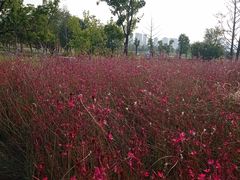 -汉长安城未央宫国家考古遗址公园