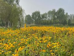 -东郊湿地公园
