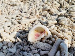 -石螺口海滩