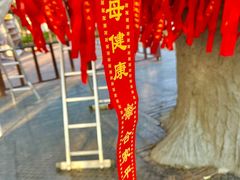 -狼山风景名胜区