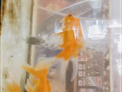 -水韵·渔家臻品私房菜(中庙店)