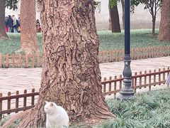 -西园戒幢律寺