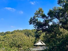 -合肥野生动物园