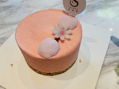 -莎琳娜食品有限公司·蛋糕店