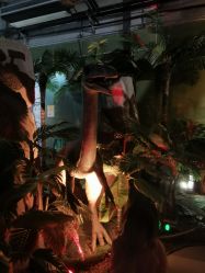 -恐龙探索乐园(磁器口店)