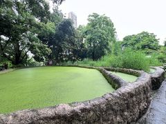 -成都市活水公园