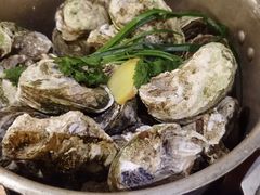 -土蚝·高压锅生蚝(百姓美食街店)