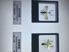 -上海昆虫博物馆
