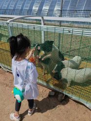 点击看大图 -萌宠亲子动物乐园(槐房万达店)