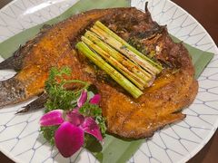 -紫滇源云南生态菜(丹凤街店)
