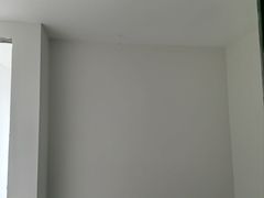 -大树装饰·十年本土家装