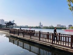 -莲花池公园