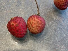 -渔舟意·湖南家宴(萝岗纳金城店)