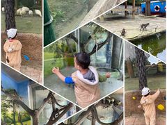 -贵州森林野生动物园