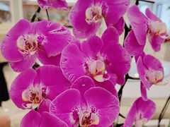 -天天渔港(杏林街店)