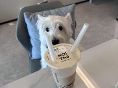 -KOI PLUS(成都万象城店)