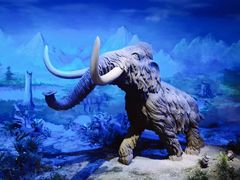 -中国第四纪冰川遗迹陈列馆