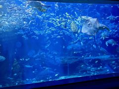 -多彩贵州城极地海洋世界