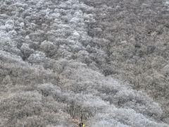 -安吉龙王山风景区