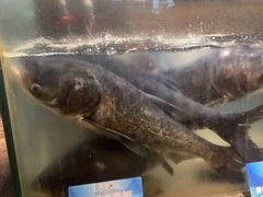 -上名堂·鱼头好吃(体育场路店)