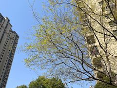 -武汉紫薇都市田园