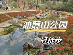 -黄埔油麻山森林公园