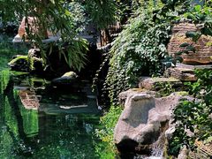 -趵突泉景区