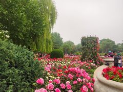 -睦南公园
