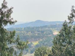 -北京西山国家森林公园