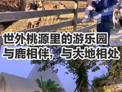 -安德鲁户外烧烤帐篷营地(马泉营店)