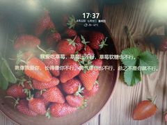 -野萃山·潮汕厚果汁(十亩地店)