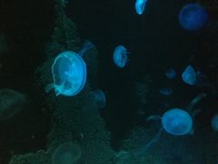 -台州海洋世界
