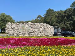 -老山国家森林公园