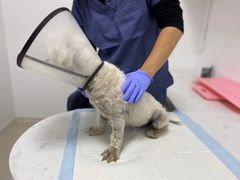 -福州肆爪动物医院